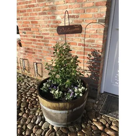 Favorite Place Modern Retreat Wrixum